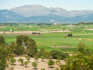 Finca Santa Margalida Entorno 37