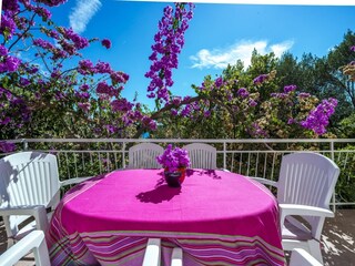 Casa per le vacanze Orebic Registrazione all'aperto 2