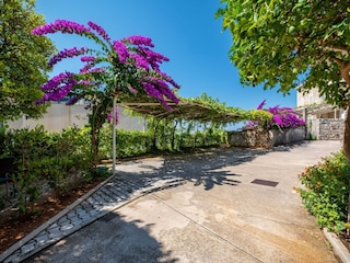 Appartement Mlini  9