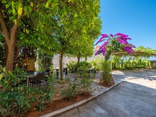 Appartement Mlini  10
