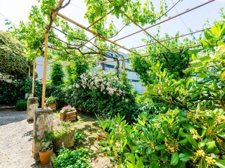Apartment Dubrovnik  19