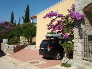 Apartment Molunat  14
