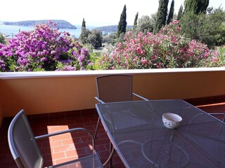 Apartment Molunat  18