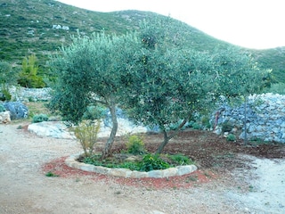 Holiday cottage Trpanj Outdoor Recording 2
