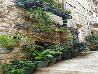 Appartement Dubrovnik  22