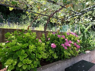 Appartamento Opatija  45