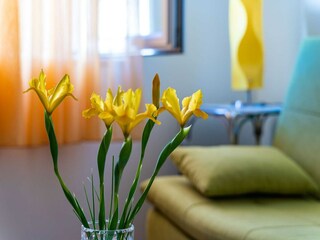 Apartamento Dubrovnik Características 34