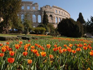 Appartamento Pula  23