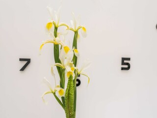 Apartamento Zadar  22