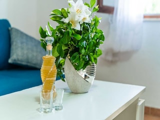 Appartement Cavtat  29