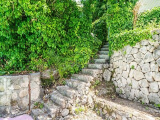 Apartment Cavtat Außenaufnahme 12