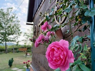 Chalet Ozalj Registrazione all'aperto 5