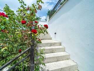 Apartment Molunat Außenaufnahme 8