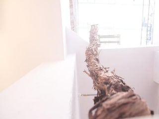 Appartement Split (Stadt) Buitenaudio-opname 2