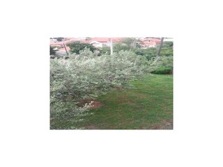 Apartamento Karin Grabación al aire libre 4