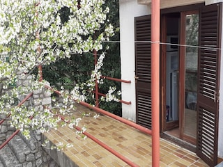 Appartamento Ledenice  26