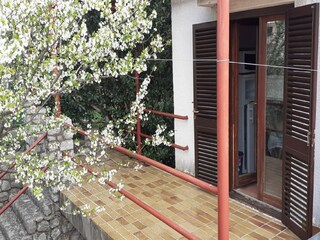 Appartement Ledenice  26