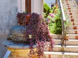 Apartment Mali Losinj  37