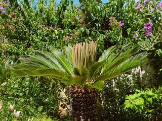Appartamento Mali Losinj  42