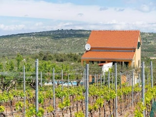 Villa Nerežišća Außenaufnahme 2