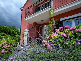 Villa Gruda Außenaufnahme 7