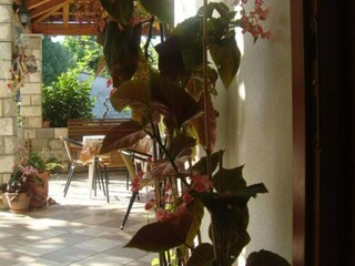Apartment Šipanska Luka  13