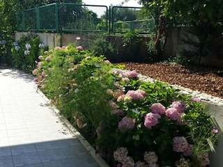 Apartamento Arbanija Grabación al aire libre 2