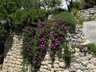 Ferienhaus Nemira  62