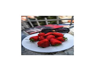 Appartamento Split (Stadt)  22