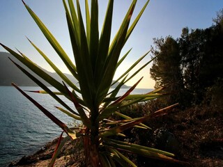 Casa per le vacanze Vela Luka Registrazione all'aperto 2