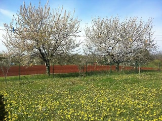 Apartment Zambratija Outdoor Recording 2