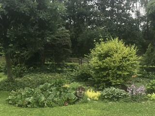 Blick aus der Küche