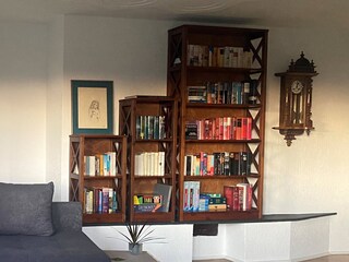 Bücher und Spielesammlung