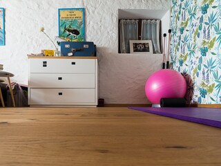 Sport room with sleeping sofa
