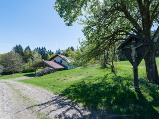 Access to the house