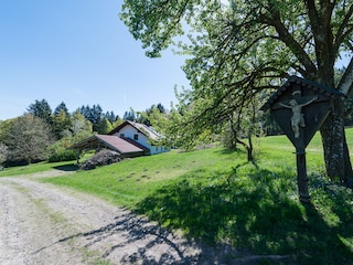 Zufahrt zum Haus