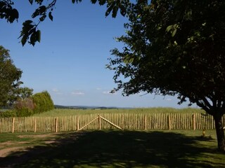 Gartenblick