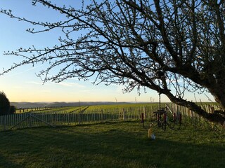 Fernblick