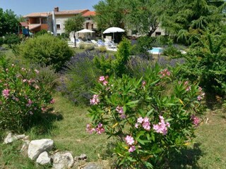 Ferienhaus Pinezići Außenaufnahme 12