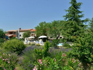 Ferienhaus Pinezići Außenaufnahme 13