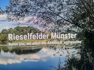 Münsters Rieselfelder