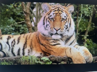Allwetterzoo