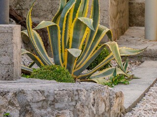 Villa Dubrovnik Grabación al aire libre 8