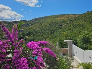 Villa Dubrovnik Grabación al aire libre 12