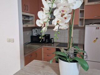 Apartment Okrug Gornji Ausstattung 12