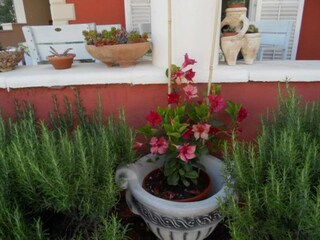 Appartement Vodice  21