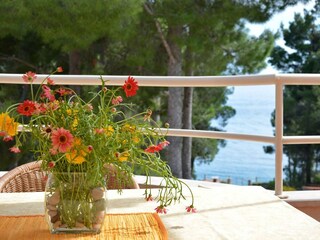 Appartement Zavala Buitenaudio-opname 4