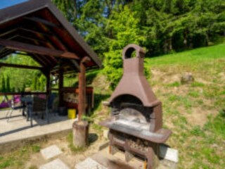Ferienhaus Lokve Außenaufnahme 9