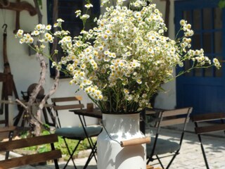 Apartment Ogulin Outdoor Recording 5