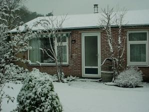 Bungalow in Schoorl - Schoorl - image1